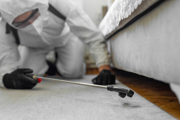 Professional Termite Control technician working in Harvard, NE