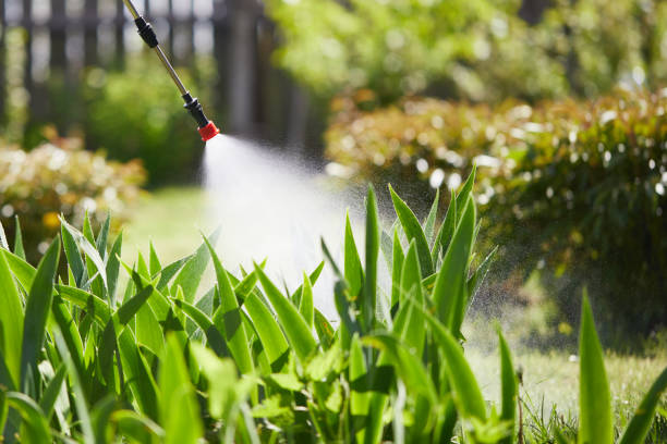24/7 Emergency Termite Control experts in Harvard, NE